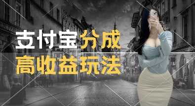 支付宝分成计划新玩法，利用交通事故视频，赚收益，轻松月入过W，操作简单【揭秘】-徐小晨博客