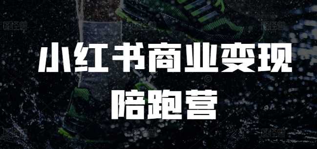 小红书商业变现陪跑营，小红书电商教程-徐小晨博客