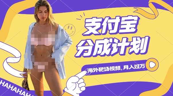 利用海外靶场射击视频，挣支付宝分成收益，轻松月入过W【揭秘】-徐小晨博客