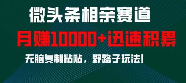 微头条相亲赛道，迅速积累，无脑复制粘贴，野路子玩法，月入1w-徐小晨博客