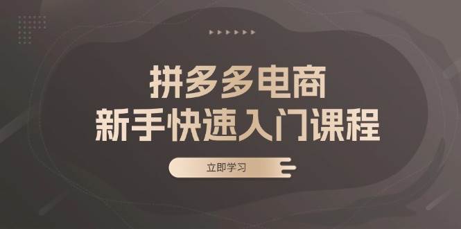 拼多多电商新手快速入门课程：涵盖基础、实战与选款，助力小白轻松上手-徐小晨博客