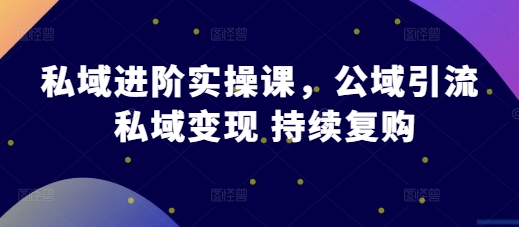 私域进阶实操课，公域引流 私域变现 持续复购-徐小晨博客