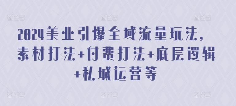 2024美业引爆全域流量玩法，素材打法 付费打法 底层逻辑 私城运营等-徐小晨博客