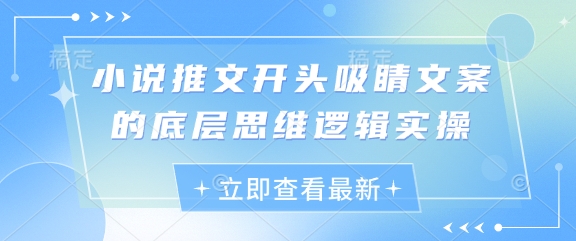 小说推文开头吸睛文案的底层思维逻辑实操-徐小晨博客