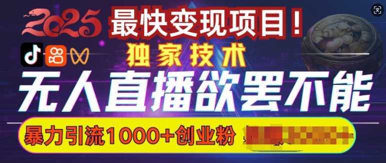 欲罢不能的无人直播引流，超暴力日引流1000+高质量精准创业粉-徐小晨博客