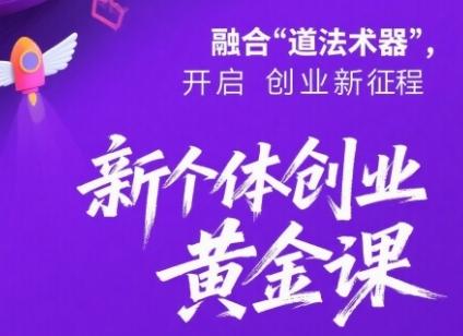 新个体创业黄金课：道法术器四维抢占2025红利-徐小晨博客
