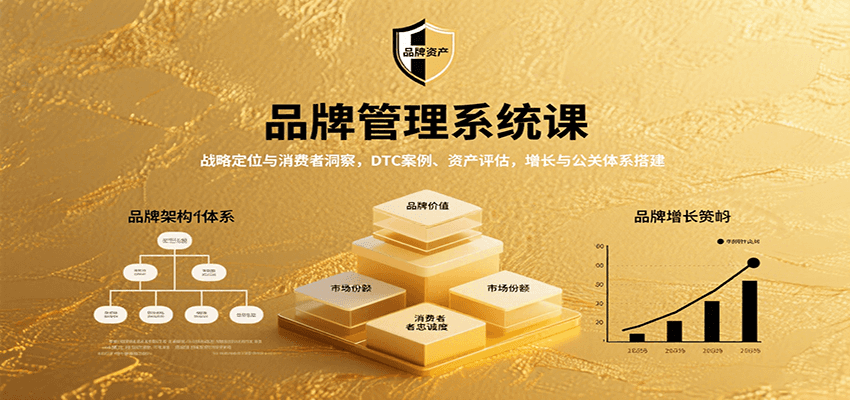 品牌管理系统课：战略定位与消费者洞察，DTC案例、资产评估，增长与公关体系搭建-徐小晨博客