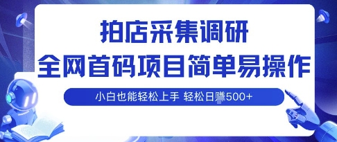 拍店采集调研，全网首码项目，简单易操作， 小白也能轻松上手，多账号操作，轻松日入5张【揭秘】-徐小晨博客