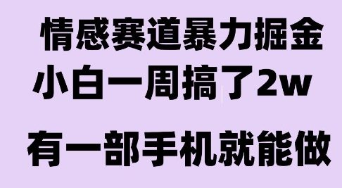 情感暴力掘金项目，新人操作一周挣了2W，长期稳定小白可做【揭秘】-徐小晨博客