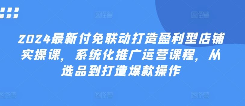 2024最新付免联动打造盈利型店铺实操课，系统化推广运营课程，从选品到打造爆款操作-徐小晨博客