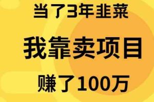 当了3年韭菜，我靠卖项目赚了100万-徐小晨博客
