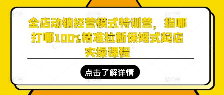 全店动销经营模式特训营，指哪打哪100%精准拉新保姆式起店实操课程-徐小晨博客
