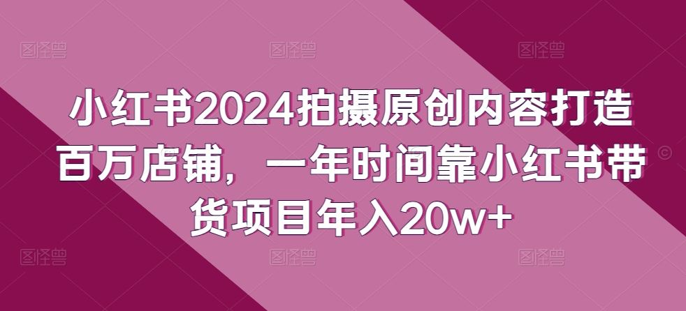 小红书2024拍摄原创内容打造百万店铺，一年时间靠小红书带货项目年入20w+-徐小晨博客