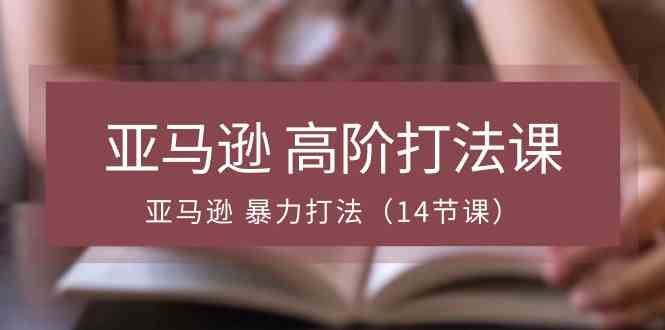 亚马逊高阶打法课，亚马逊暴力打法（14节课）-徐小晨博客