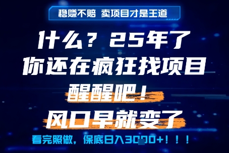 什么？25年你还在疯狂找项目做，醒醒吧，看完这些你全都懂了！【揭秘】-徐小晨博客