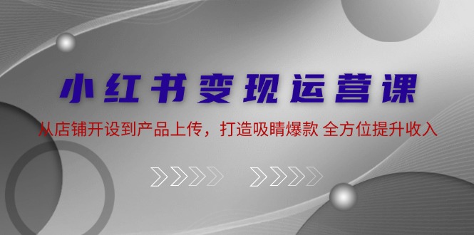 小红书变现运营课：从店铺开设到产品上传，打造吸睛爆款 全方位提升收入-徐小晨博客