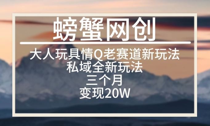 大人玩具情Q用品赛道私域全新玩法，三个月变现20W，老项目新思路【揭秘】-徐小晨博客