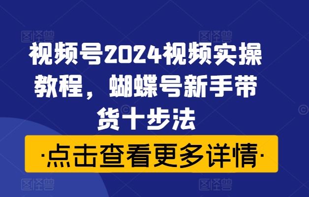 视频号2024视频实操教程，蝴蝶号新手带货十步法-徐小晨博客