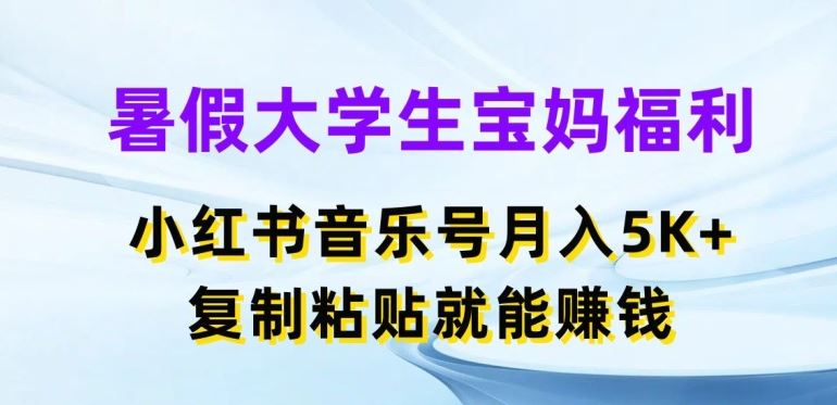 暑假大学生宝妈福利，小红书音乐号月入5000+，复制粘贴就能赚钱【揭秘】-徐小晨博客