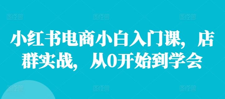 小红书电商小白入门课，店群实战，从0开始到学会-徐小晨博客