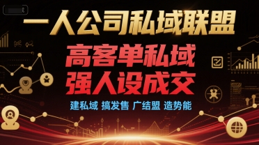 一人公司私域联盟，高客单私域，强人设成交，建私域 搞发售 广结盟 造势能-徐小晨博客