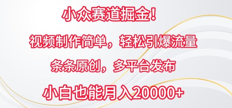 小众赛道掘金，视频制作简单，轻松引爆流量，条条原创，多平台发布【揭秘】-徐小晨博客