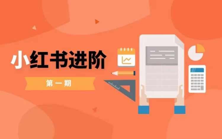 小红书进阶篇，零基础小白实战课，普通人变现的课程-徐小晨博客