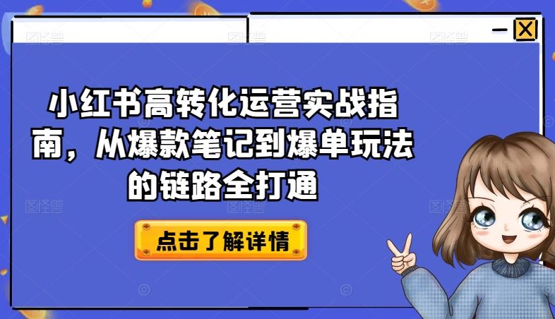 小红书高转化运营实战指南，从爆款笔记到爆单玩法的链路全打通-徐小晨博客