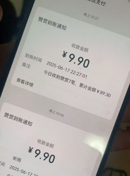 二次元男粉快速变现项目，私域卖虚拟产品，百分利润-徐小晨博客