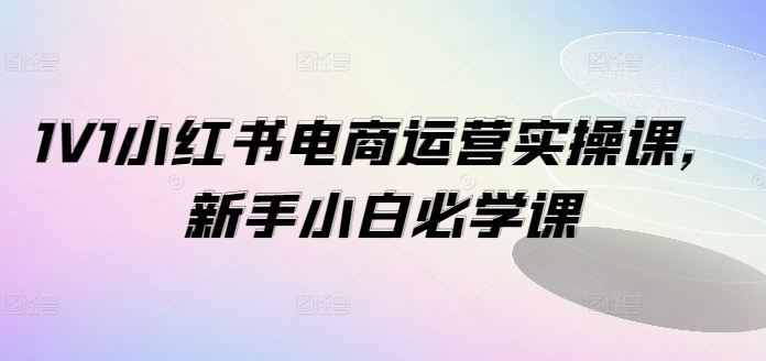 1V1小红书电商运营实操课，新手小白必学课-徐小晨博客