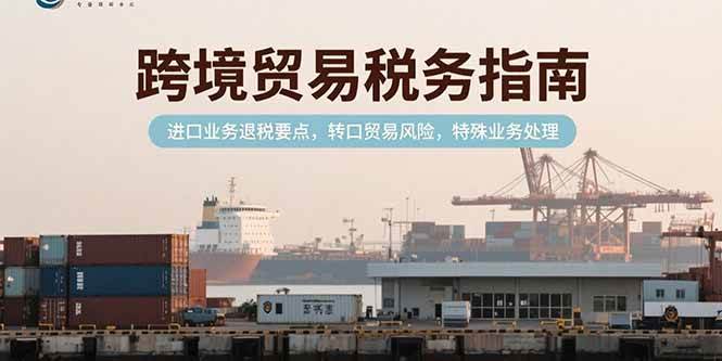 跨境贸易税务指南，进口业务退税要点，转口贸易风险，特殊业务处理-徐小晨博客