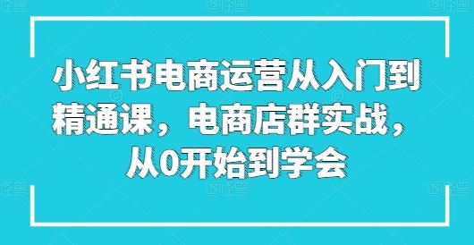 小红书电商运营从入门到精通课，电商店群实战，从0开始到学会-徐小晨博客