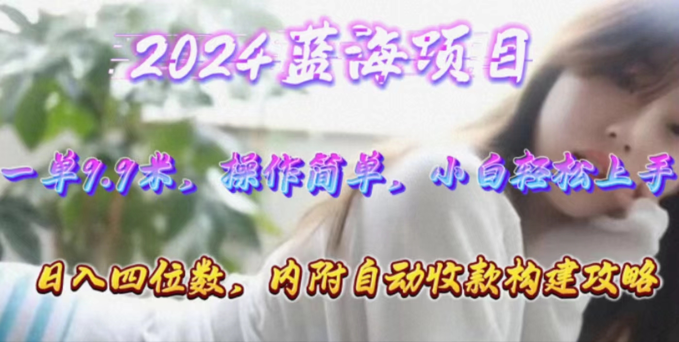 年轻群体的蓝海市场，1单9.9元，操作简单，小白轻松上手，日入四位数-徐小晨博客
