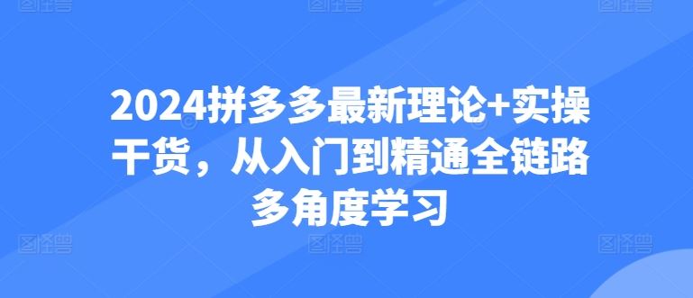 2024拼多多最新理论+实操干货，从入门到精通全链路多角度学习-徐小晨博客