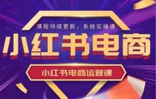 小红书电商运营实操课，新手从0~1落地实操-徐小晨博客