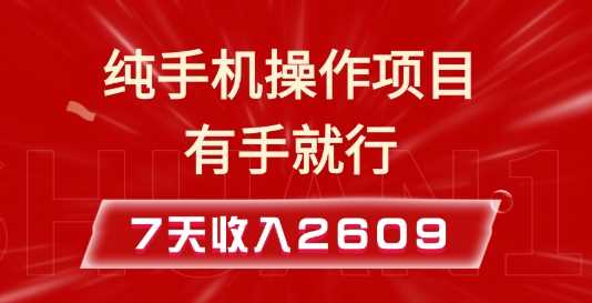 纯手机操作的小项目，有手就能做，7天收入2609+实操教程【揭秘】-徐小晨博客
