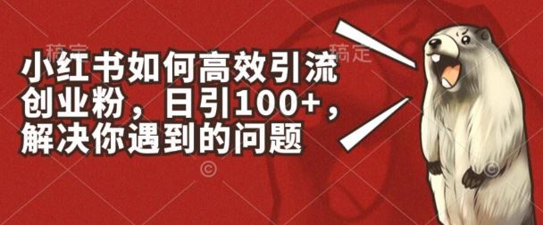 小红书如何高效引流创业粉，日引100+，解决你遇到的问题【揭秘】-徐小晨博客