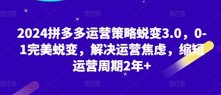 2024拼多多运营策略蜕变3.0，0-1完美蜕变，解决运营焦虑，缩短运营周期2年+-徐小晨博客