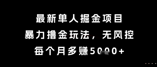 最新单人掘金项目，暴力撸金玩法，无风控，每个月多挣5k+【揭秘】-徐小晨博客