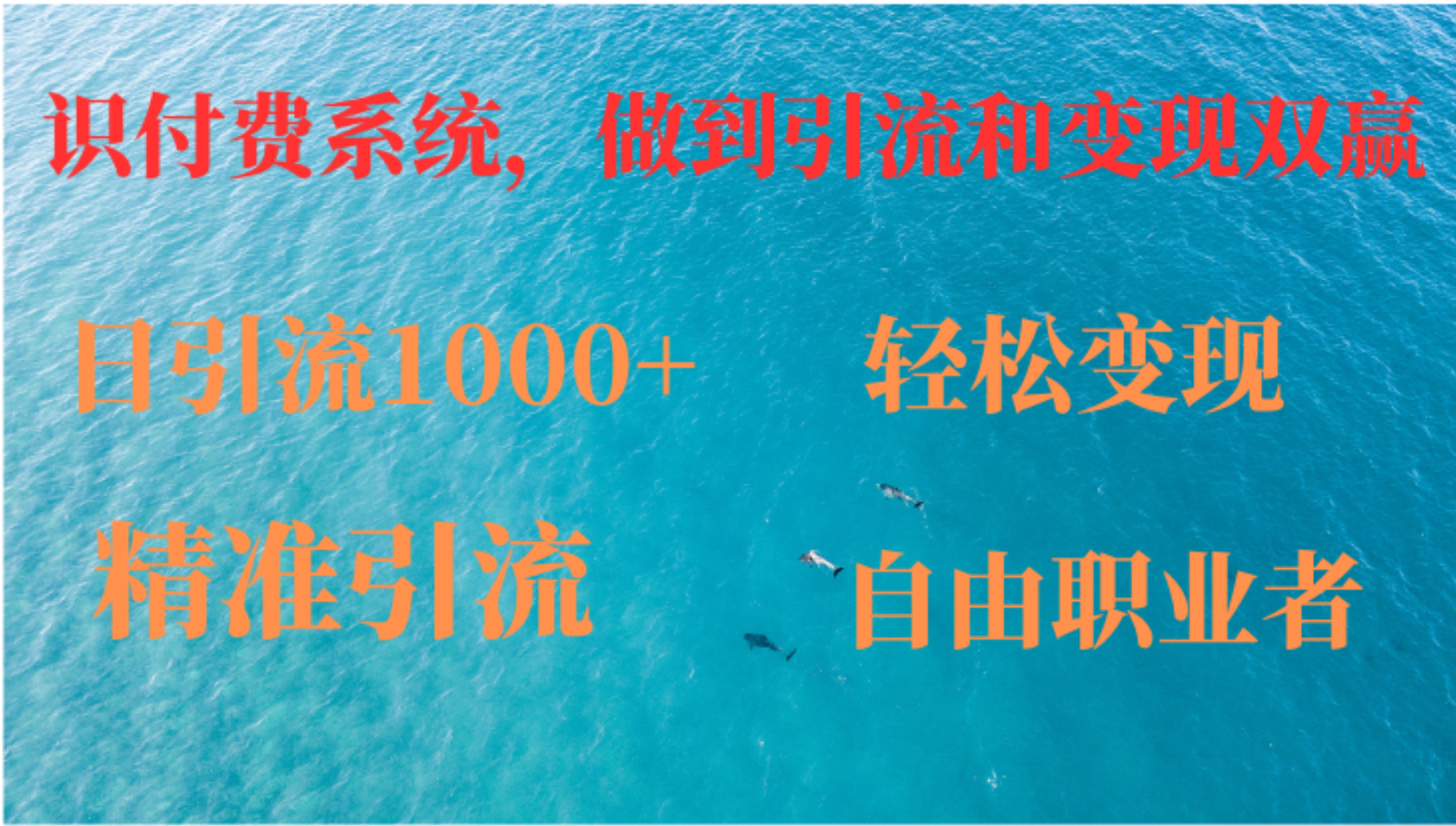 如何搭建自己的知识付费系统，做到引流和变现双赢-徐小晨博客