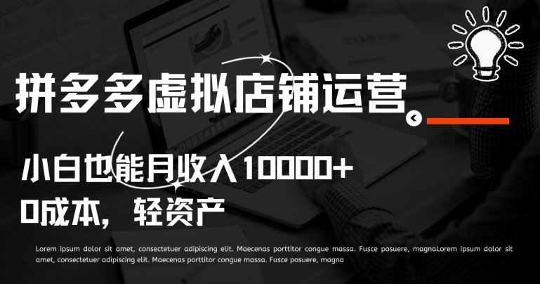 拼多多虚拟店铺运营小白也能月收入10000+【揭秘】-徐小晨博客