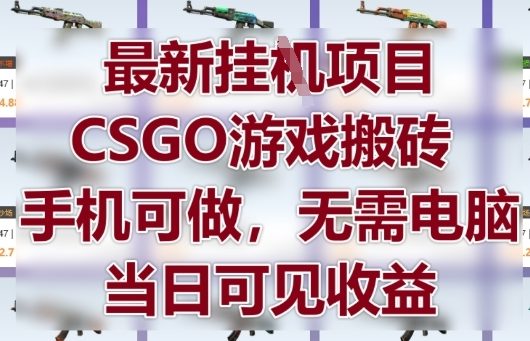 最新挂G项目，CSGO游戏搬砖，手机可做，无需电脑，当日见收益【揭秘】-徐小晨博客
