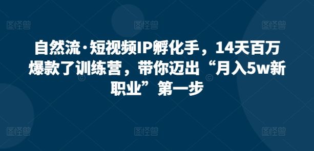 自然流·短视频IP孵化手，14天百万爆款了训练营，带你迈出“月入5w新职业”第一步-徐小晨博客