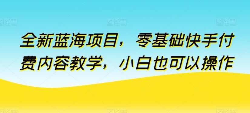 全新蓝海项目，零基础快手付费内容教学，小白也可以操作【揭秘】-徐小晨博客