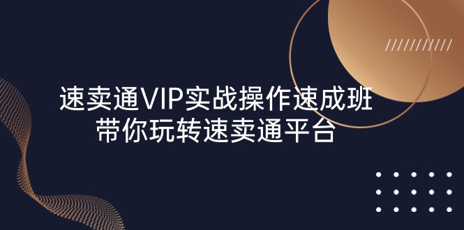 速卖通 VIP实战操作-速成班，带你玩转速卖通平台（23节）-徐小晨博客