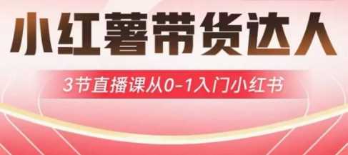 小红薯达人带货启航计划，3节直播课从0-1入门小红书-徐小晨博客