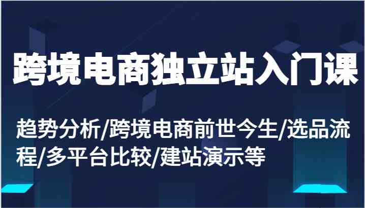 跨境电商独立站入门课：趋势分析/跨境电商前世今生/选品流程/多平台比较/建站演示等-徐小晨博客