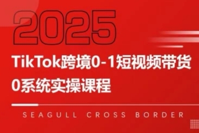 TikTok跨境0-1短视频带货，系统拆解TikTok跨境带货全链路，实现跨境可持续盈利-徐小晨博客