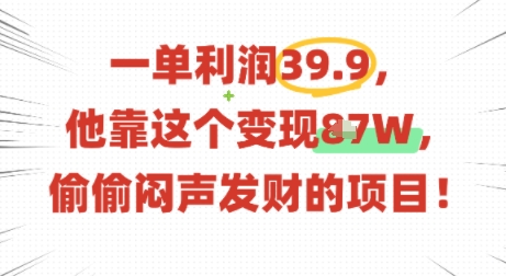 一单利润39.9，有人靠这个变现几十个，偷偷闷声发财的项目-徐小晨博客