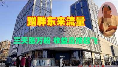 蹭胖东来流量，三天涨万粉，收益直接起飞-徐小晨博客